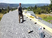 Roofing Services!!!! 