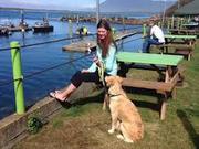 Pet Care Sellwood